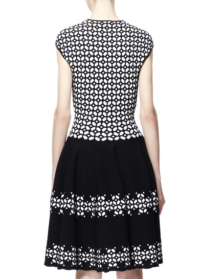 alexander mcqueen dress black and white